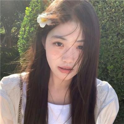 北部丛林